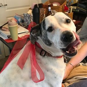 Meet your Posher, Joanne